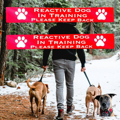 Storms Style - Lead Slips - Reactive, Nervous, Blind, Deaf, Friendly: Blind Dog