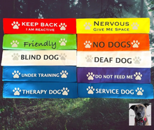 Storms Style - Lead Slips - Reactive, Nervous, Blind, Deaf, Friendly: Blind Dog