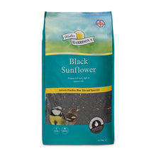 Harrisons Black Sunflower