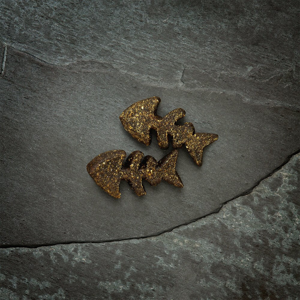 Canagan Salmon Softies for Dogs