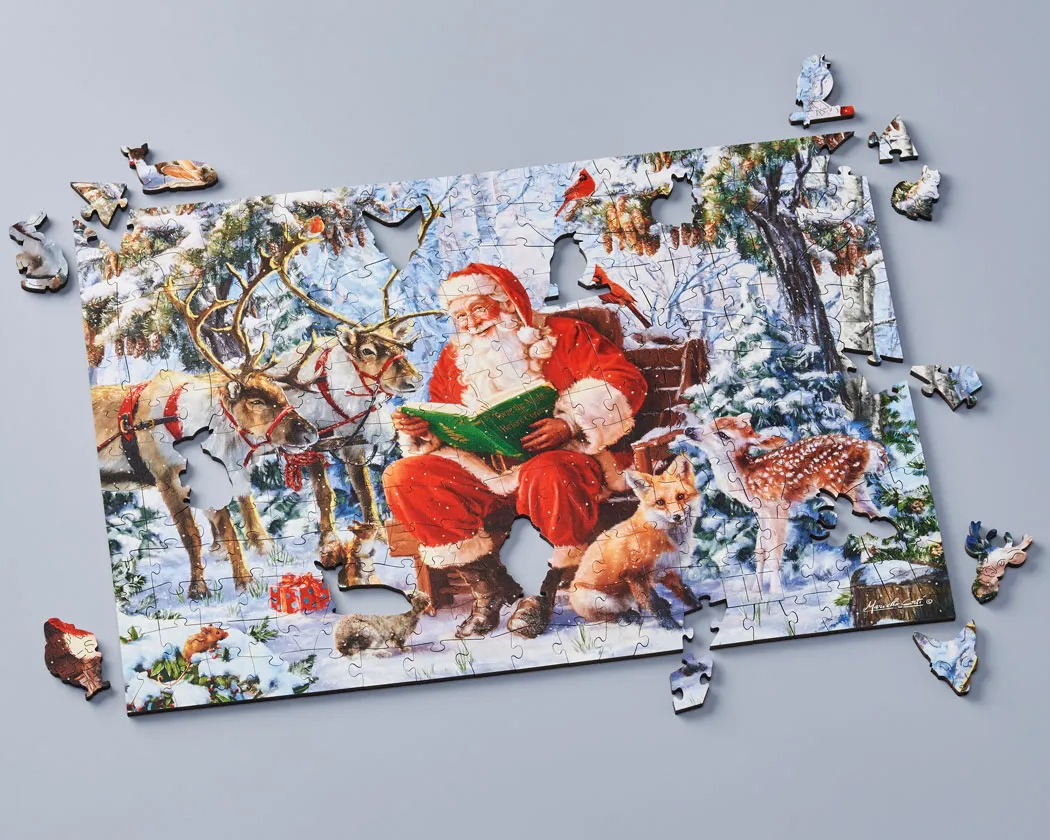 Wentworth Puzzles - Christmas Curiosity