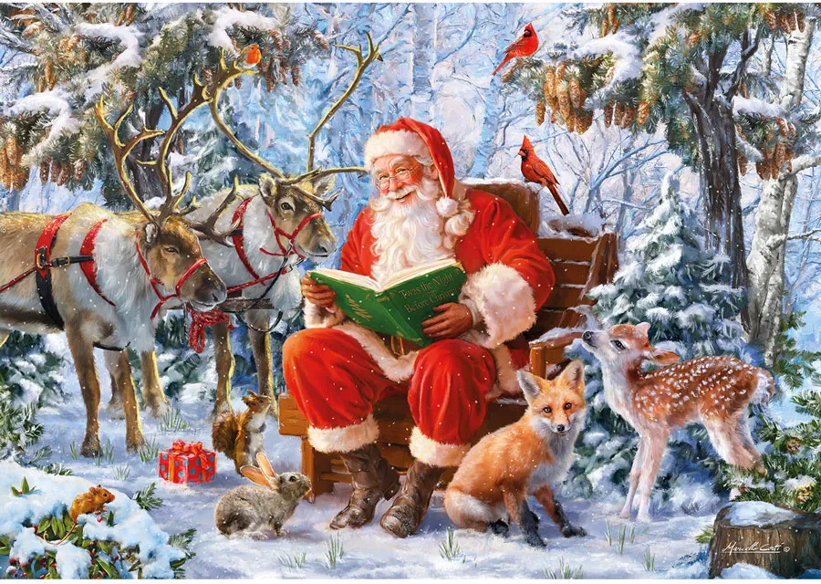 Wentworth Puzzles - Christmas Curiosity
