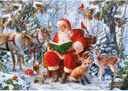 Wentworth Puzzles - Christmas Curiosity