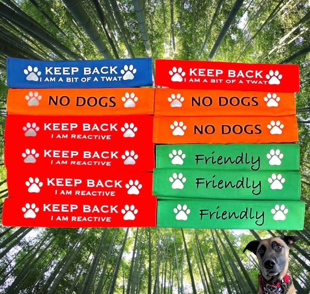 Storms Style - Lead Slips - Reactive, Nervous, Blind, Deaf, Friendly: Blind Dog