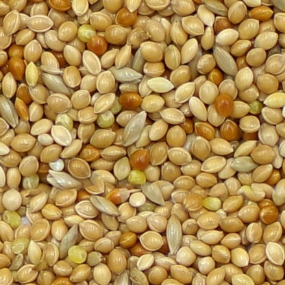 Marriages Budgie Food 1Kg