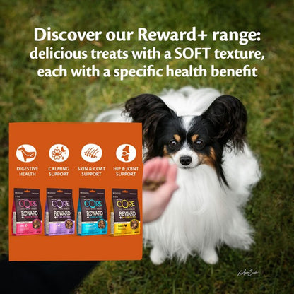Dog standing on grass with a hand holding a packet of CORE Reward+ dog treats, text about the Reward+ range.