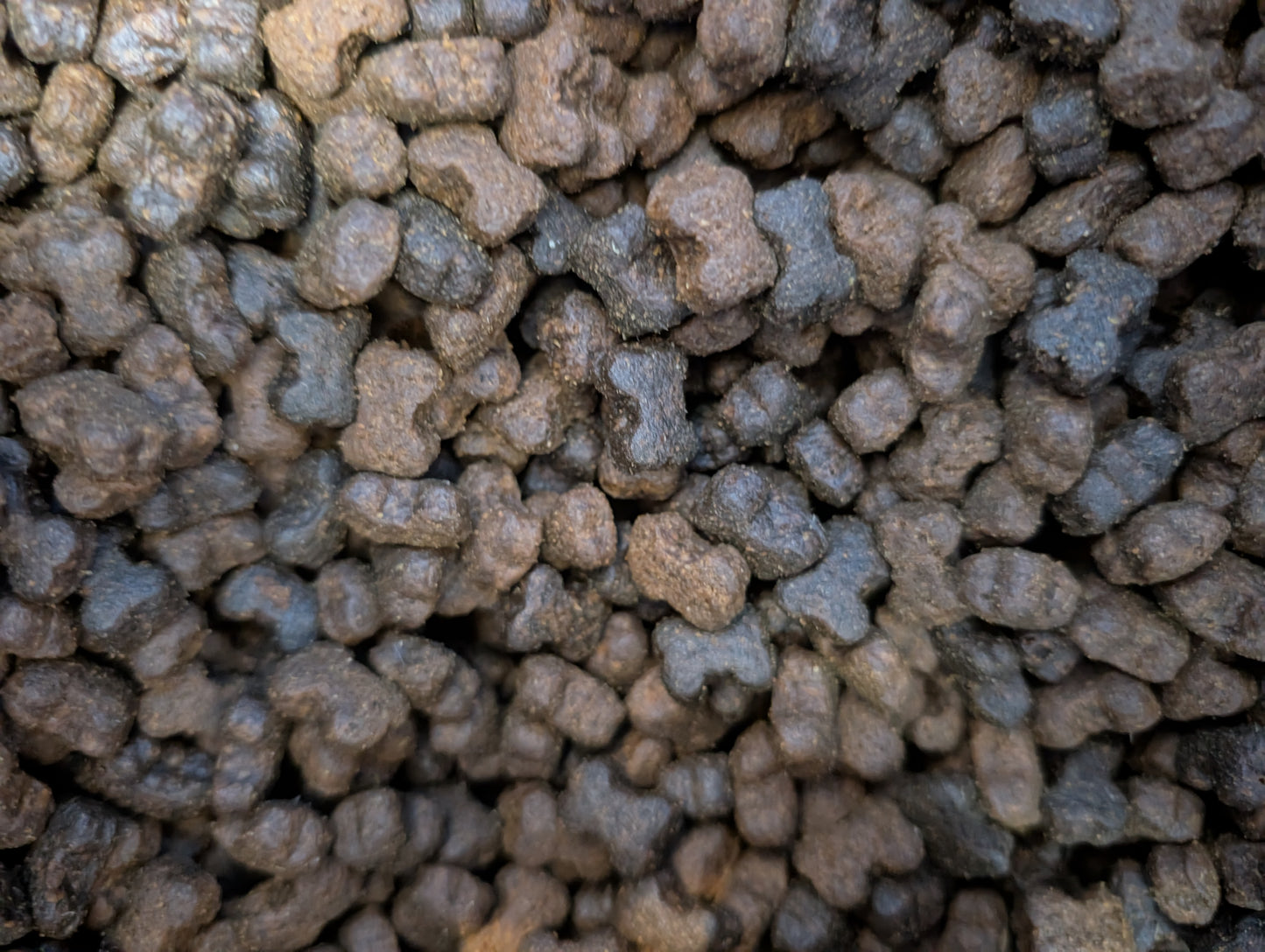 Salmon & potato dog training treats