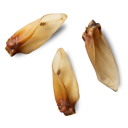 Buffalo Ears Large - single