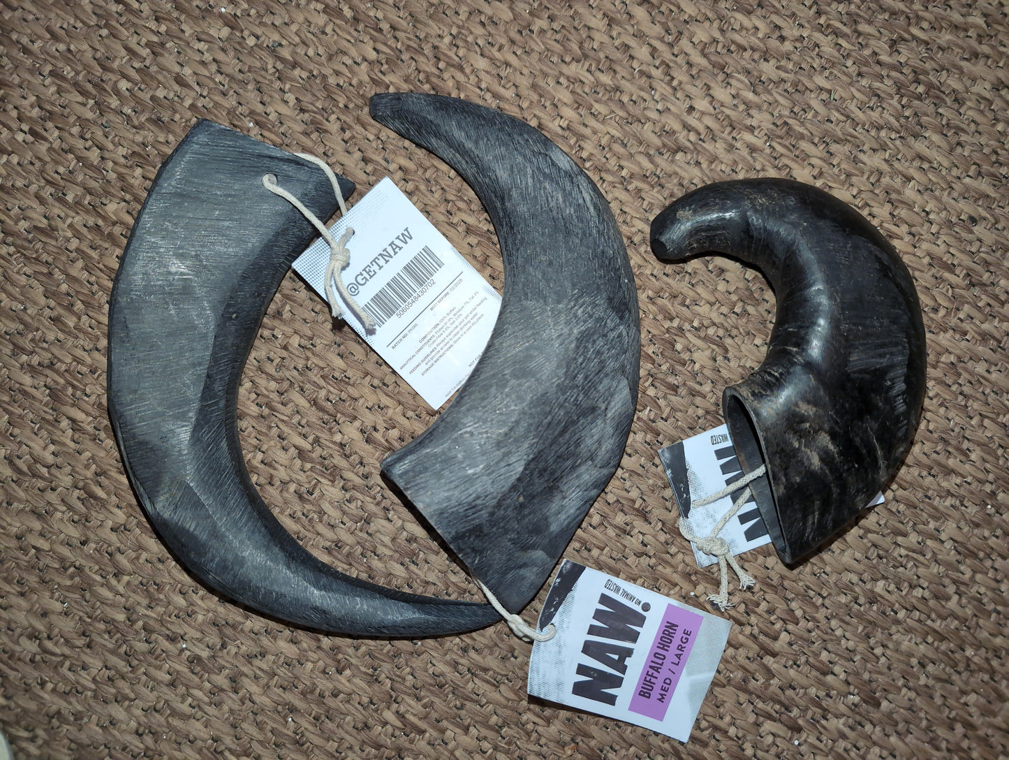 Single Buffalo Horn