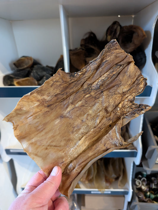 Goat Skin Plate